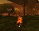 BurningBack.jpg