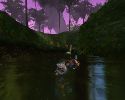 Swiming.jpg