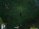 sometimes_the_triangle_hunting_formation_doesnt_work.jpg