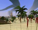 HolidayDream.jpg